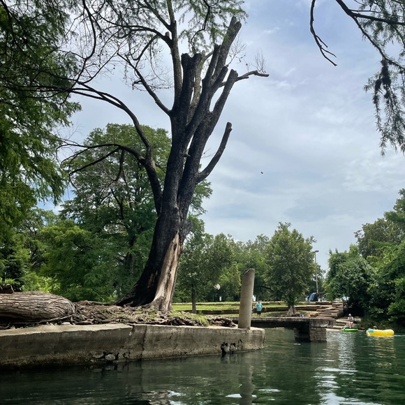 Meet your Posher, Niquette - Picture 3 of 12